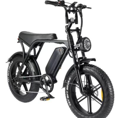 Rogue E-Bike
